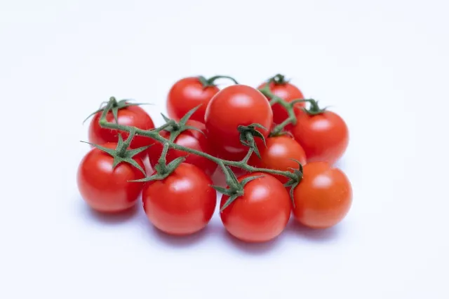 真っ赤なトマトが枝についた状態で写されています。背景は白く、トマトの色が鮮やかに映えています。