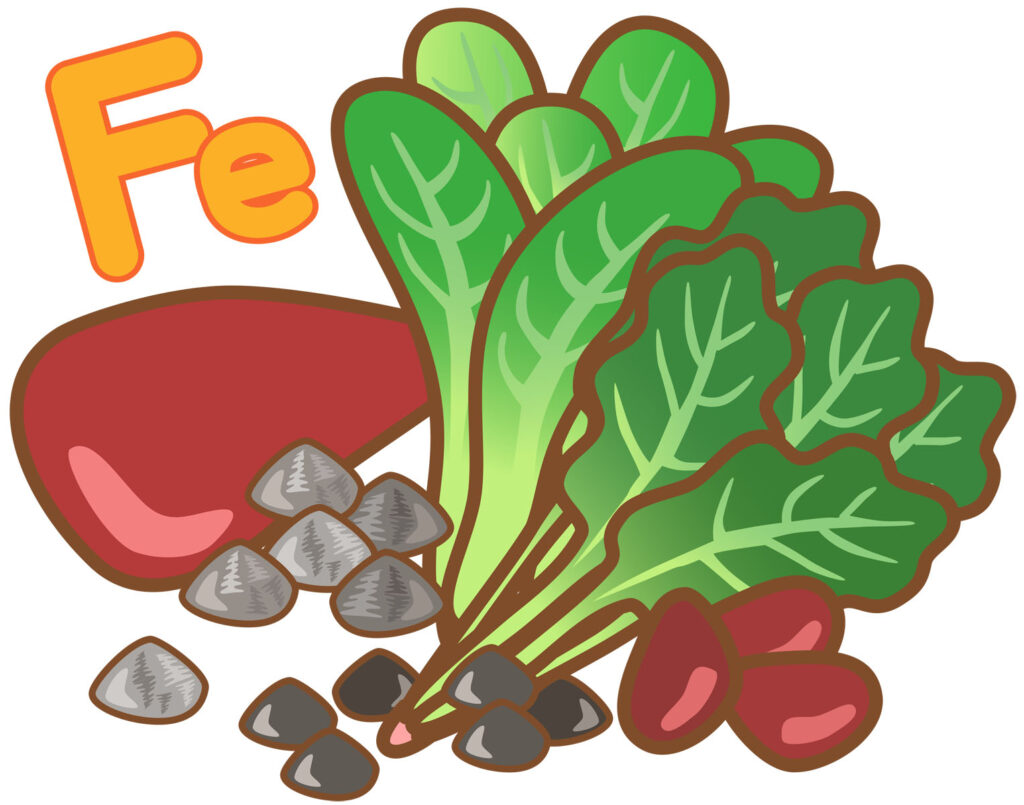 「鉄分を多く含む食品」をテーマにしており、赤身の肉、レバー、ひよこ豆、ほうれん草などが描かれ、Fe（鉄）の化学記号が大きく描かれています。これは、貧血予防に重要な鉄分を豊富に含む食品を強調しています。