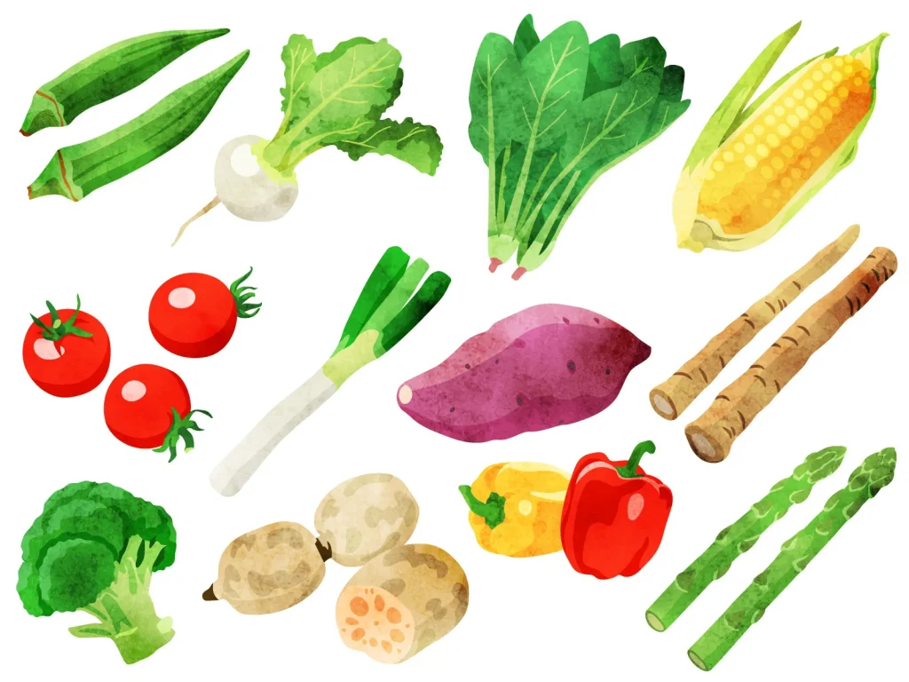 多様な野菜が水彩画風で描かれており、健康的な食生活に不可欠なビタミンとミネラルの源としての役割を表しています。オクラ、白菜、トウモロコシ、トマト、大根、さつまいも、ごぼう、ブロッコリー、ジャガイモ、パプリカ、アスパラガスが色鮮やかに描かれています。